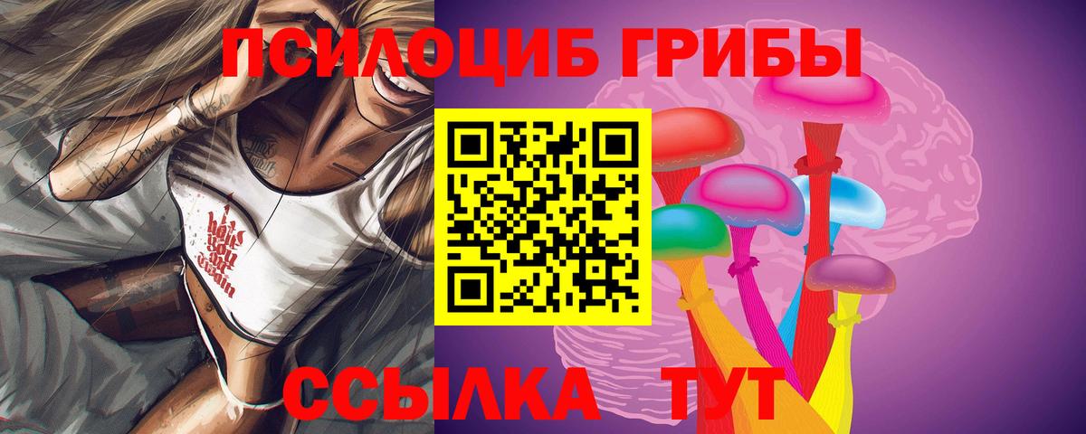 Керчь  Галлюциногенные грибы Cubensis  Вход с VPN 